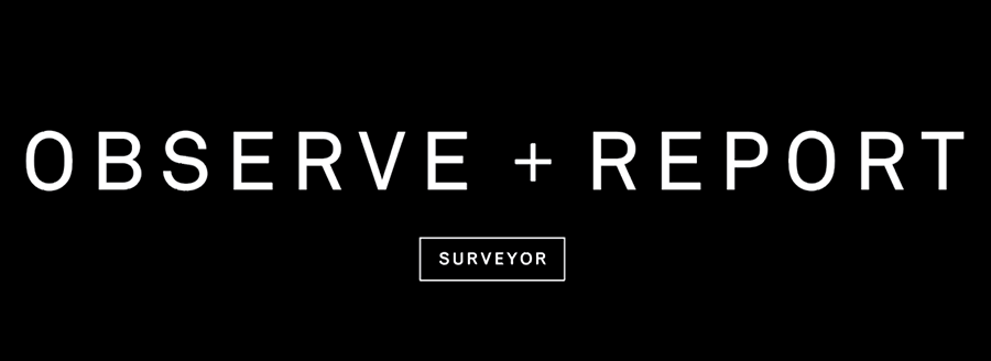 Surveyor logo